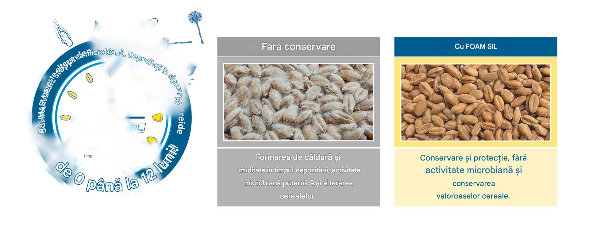 SCHAUMASIL oprește deteriorarea microbiană SCHAUMASIL oprește deteriorarea microbiană