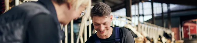 Consiliere Masă de hrănire a vitelor Consiliere Masă de hrănire a vitelor