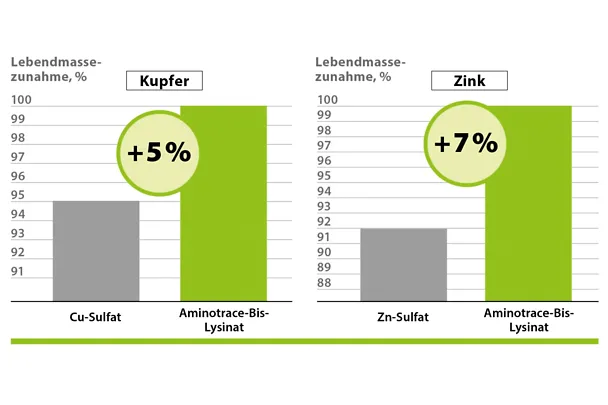AMINOTRACE bei Geflügel AMINOTRACE bei Geflügel