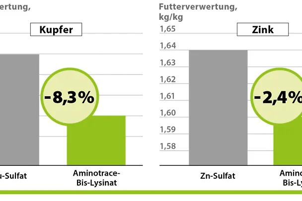 AMINOTRACE bei Geflügel AMINOTRACE bei Geflügel