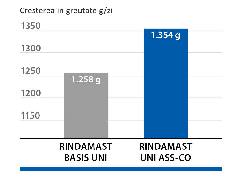 Castiguri in greutate medii zilnice, intr-un studiu cu 450 de tauri Castiguri in greutate medii zilnice, intr-un studiu cu 450 de tauri