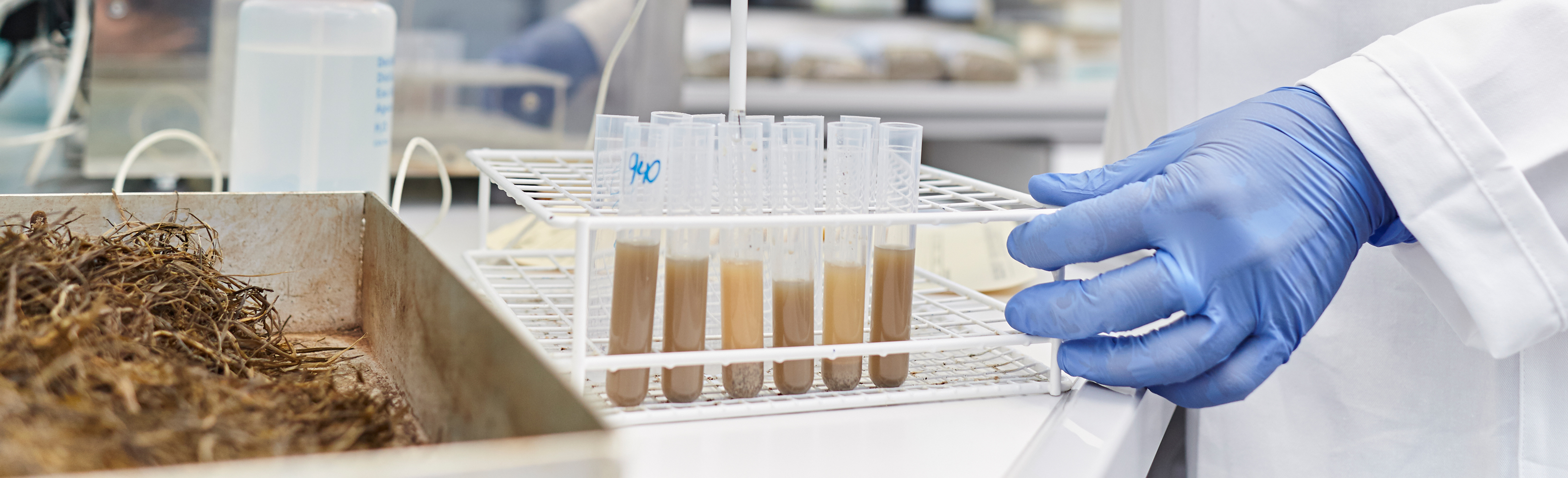 de_hws_innovation de_hws_innovation